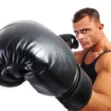 Boxing & Fight Business or Product Names