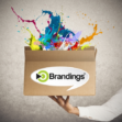 Custom Company Naming