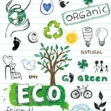 Eco-Friendly, Sustainable & Green Names
