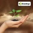 Outdoor, Agriculture & Horticulture Names