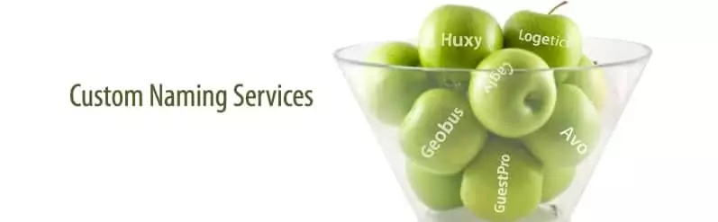Questions for Brand Development Company