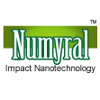 Numyral Tip-Top Business Name
